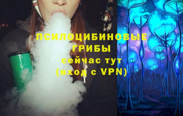 гашик Бежецк