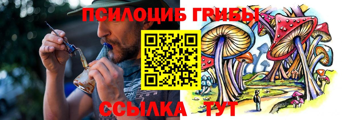 Галлюциногенные грибы GOLDEN TEACHER  купить наркотики сайты  Гагарин  Вход с VPN  Псилоцибиновые грибы мицелий 
