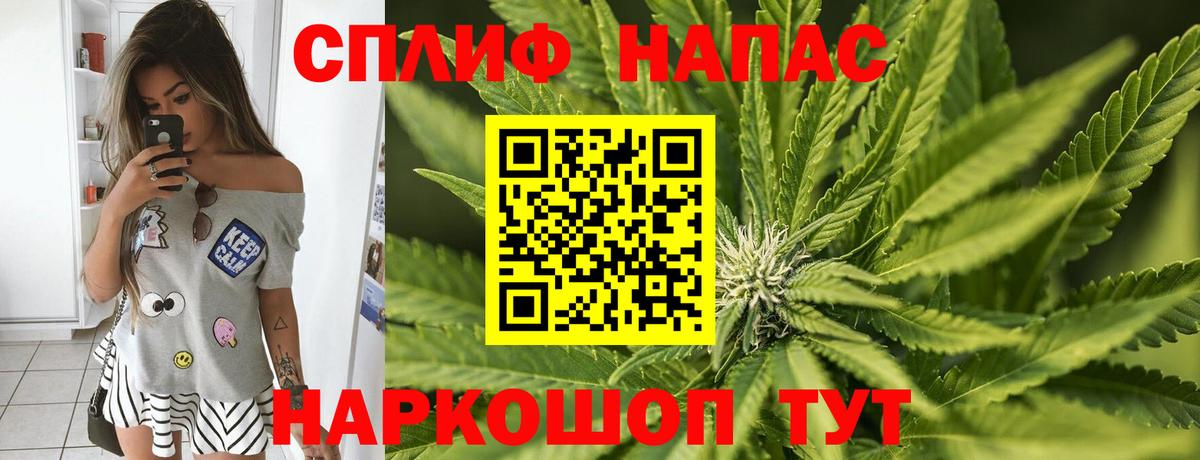 Конопля семена  Гагарин  Бошки марихуана конопля  Конопля тримм 